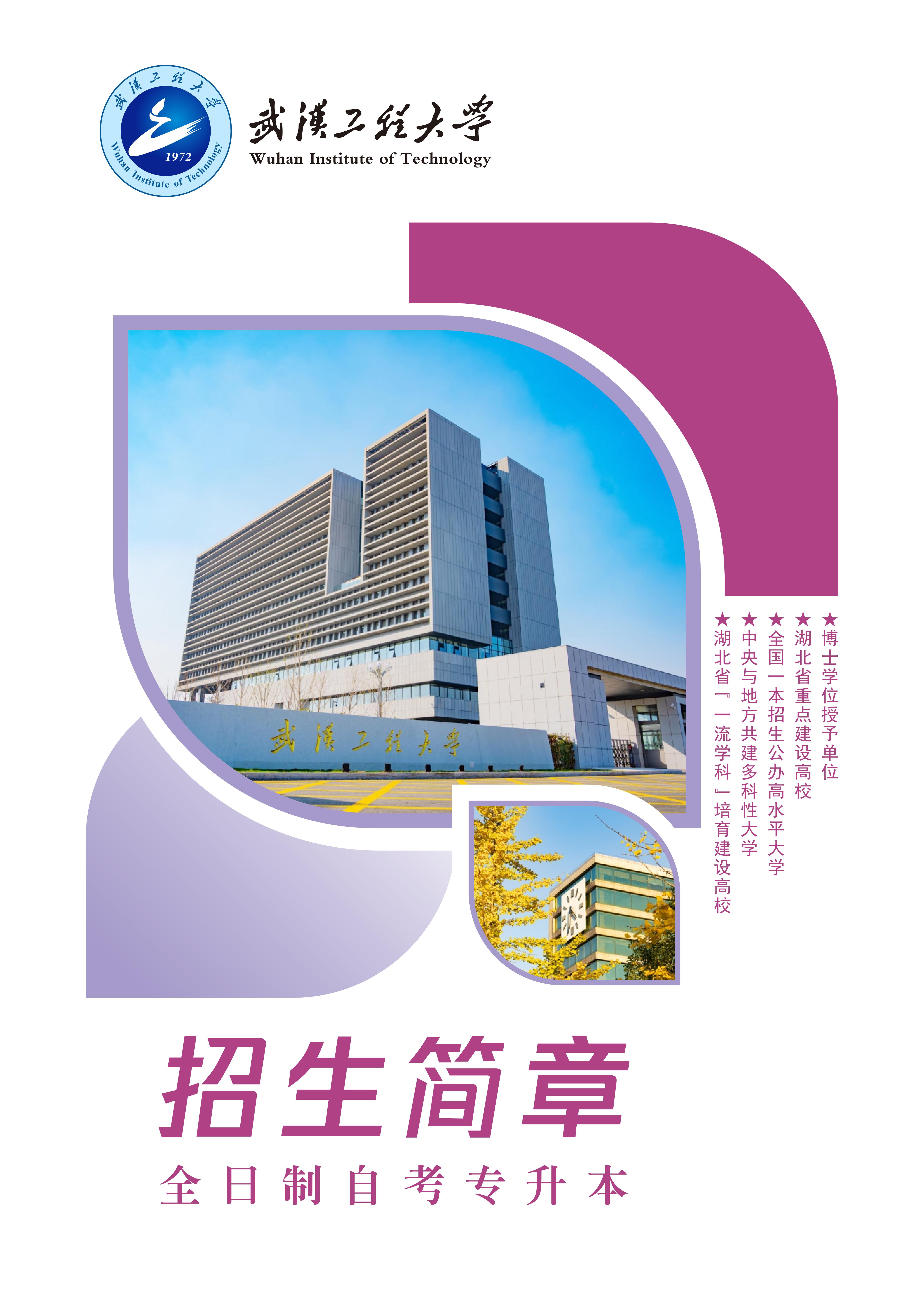 武汉工程大学2025年全日制自考本科(专升本)招生简章-武汉工程大学继续教育学院